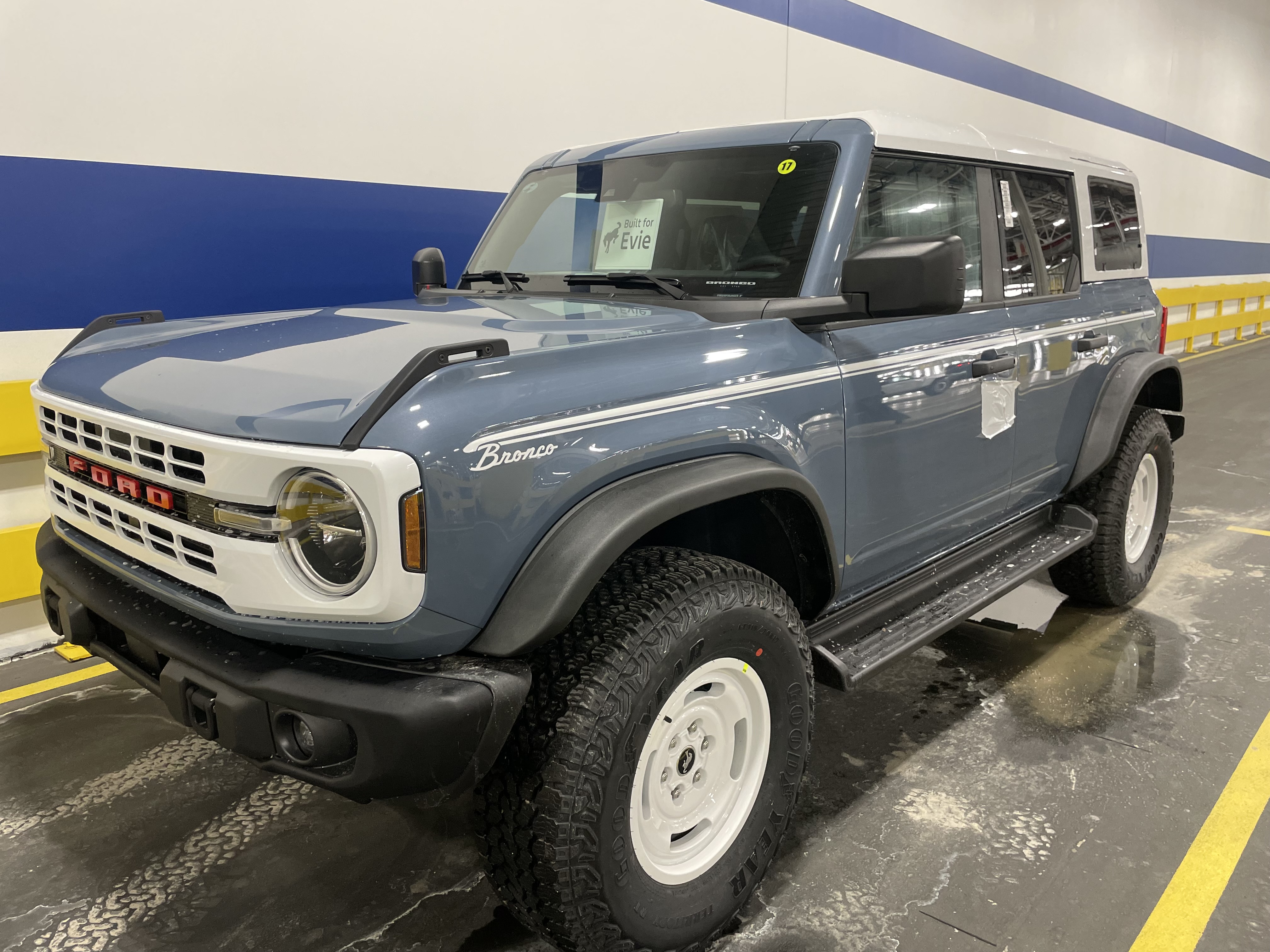 Evie's finished Bronco, Bluey.